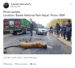 Old photo of tiger killed in highway being shared on social media